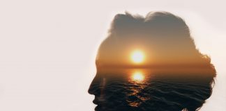 L’Ashwagandha, un adaptogène surpuissant pour pacifier le mental et optimiser la santé Ashwagandha plante adaptogène