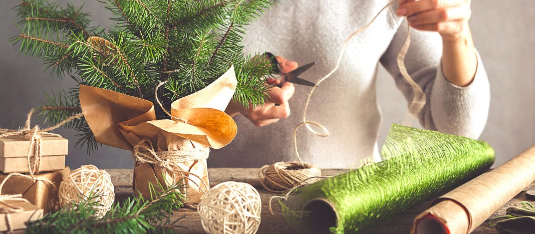 cadeaux bio ecolo noel réponses bio