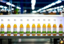 Madagascar rend public le « CVO » ou « Covid-Organics », premier remède testé officiellement contre le Covid-19 Covid Organics premier remède naturel Covid-19