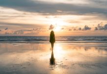 confinement-liberte-de-circuler-reponses-bio