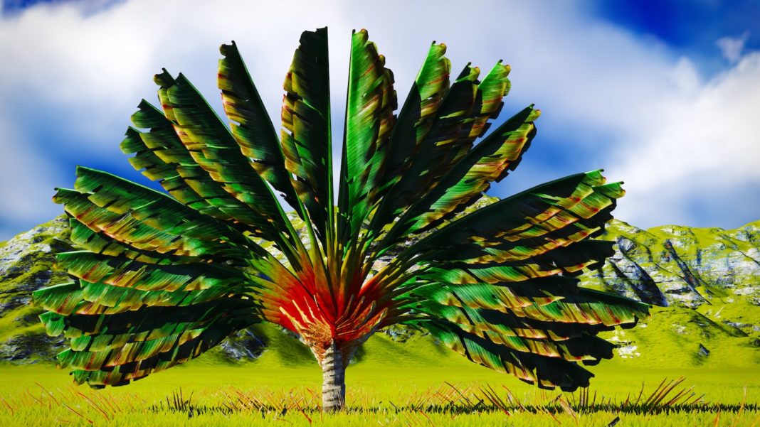 interview-Didier-Ramiandrasoa-reponsesbio interview-Didier-Ramiandrasoa-reponsesbio