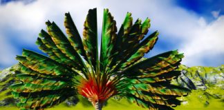 La vision holistique d’un aromathérapeute malgache interview-Didier-Ramiandrasoa-reponsesbio