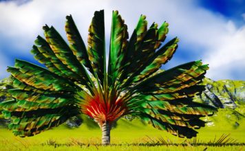 La vision holistique d’un aromathérapeute malgache interview-Didier-Ramiandrasoa-reponsesbio