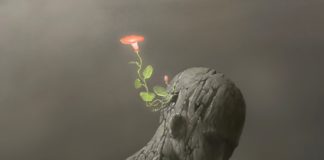 Madagascar et l’Afrique unis contre le SARS-Cov-2 et l’OMS ? madagascar-et-afrique-unies-contre-sars-cov2-et-OMS