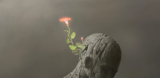 madagascar-et-afrique-unies-contre-sars-cov2-et-OMS