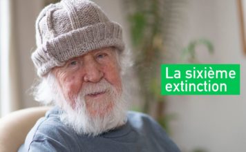 L’humanité est-elle prête à « passer son examen » de conscience ?