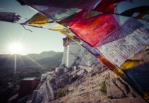 Le Covid-19 vu par la Médecine Tibétaine medecine-tibetaine-covid-19-reponses-bio