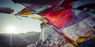 Le Covid-19 vu par la Médecine Tibétaine medecine-tibetaine-covid-19-reponses-bio