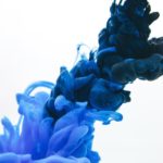 Ré-informer l’immunité et augmenter les CD-4 avec la Phycocyanine