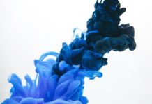 Ré-informer l’immunité et augmenter les CD-4 avec la Phycocyanine