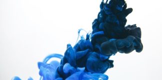 Ré-informer l’immunité et augmenter les CD-4 avec la Phycocyanine