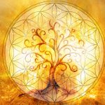 Des nouvelles de Réponses Bio nouvelles de réponses bio