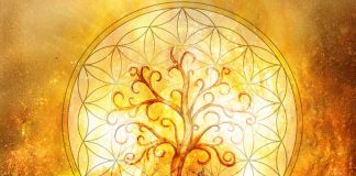 Des nouvelles de Réponses Bio nouvelles de réponses bio