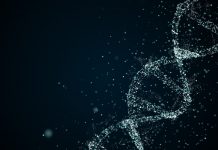 Le Covid-19 est-il anormalement stable ? coronavirus-sars-cov2-mutation