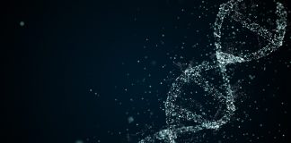 Le Covid-19 est-il anormalement stable ? coronavirus-sars-cov2-mutation