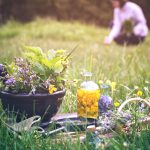 Les nouveautés du mois de Juillet nouveautés reponsesbio