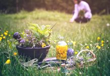 Les nouveautés du mois de Juillet nouveautés reponsesbio