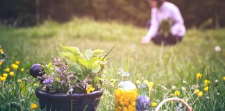 Les nouveautés du mois de Juillet nouveautés reponsesbio