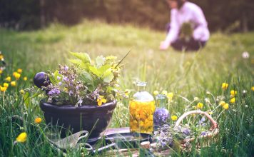 Les nouveautés du mois de Juillet nouveautés reponsesbio