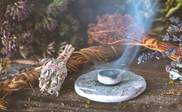 3 H.E. imparables contre les moustiques et les insectes aroma-anti-insectes