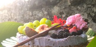 4 Recettes à la Phycocyanine gateau cru phycocyanine