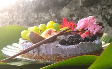4 Recettes à la Phycocyanine gateau cru phycocyanine