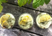 5 recettes pour découvrir le Matcha verrines-matcha-citron-vegan-reponsesbio