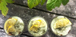 5 recettes pour découvrir le Matcha verrines-matcha-citron-vegan-reponsesbio