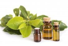 L’huile essentielle de Ravintsara, aussi douce que polyvalente huile essentielle ravintsara reponsesbio