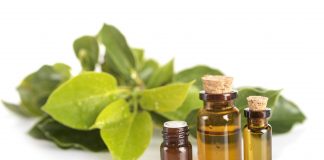 L’huile essentielle de Ravintsara, aussi douce que polyvalente huile essentielle ravintsara reponsesbio