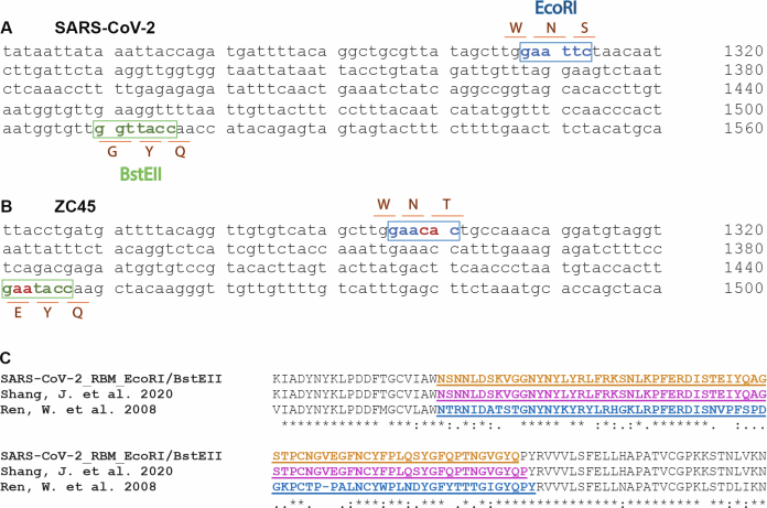 comparaison sequencage SARS-CoV-2