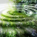 La Phycocyanine protège la thyroïde et module la réponse immunitaire phycocyanine-thyroide-ADN-reponsesbio