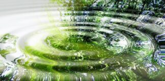 La Phycocyanine protège la thyroïde et module la réponse immunitaire phycocyanine-thyroide-ADN-reponsesbio