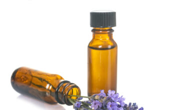 La lavande, la plus essentielle des huiles aromatiques françaises huile essentielle de lavande officinale reponses bio