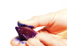 Le glaçon de Phycocyanine pure : Un OVNI thérapeutique phycocyanine pure extraite de spiruline