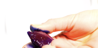 Le glaçon de Phycocyanine pure : Un OVNI thérapeutique phycocyanine pure extraite de spiruline