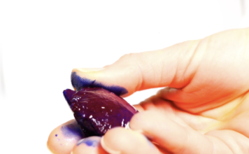 Le glaçon de Phycocyanine pure : Un OVNI thérapeutique phycocyanine pure extraite de spiruline