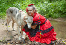 L’homme a-t-il encore peur du loup ? la-peur-du-loup-reponses-bio