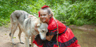 L’homme a-t-il encore peur du loup ? la-peur-du-loup-reponses-bio
