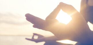 Le principe équilibrant de la Phycocyanine le principe équilibrant de la Phycocyanine Réponses Bio