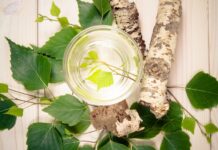 La sève de bouleau, brute et artisanale seve-de-bouleau-reponsesbio