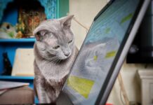 Les animaux domestiques pallient aux confinements Animaux-domestiques-confinements