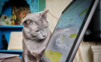 Les animaux domestiques pallient aux confinements Animaux-domestiques-confinements