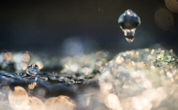 La cure thermale interne d’eaux profondes cure-interne-thermale-eaux-profondes-reponsesbio