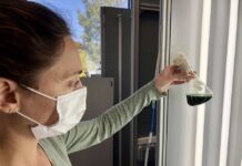 La spiruline s’apprête à être cultivée dans l’espace ? spiruline-vols-spatiaux