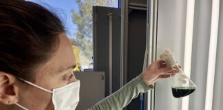 La spiruline s’apprête à être cultivée dans l’espace ? spiruline-vols-spatiaux