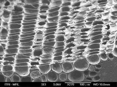 photo-charbon-micro-pores