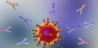 L’efficacité de la Phycocyanine contre le SARS-CoV-2 se confirme l-efficacite-de-la-phycocyanine-se-confirme-reponses-bio