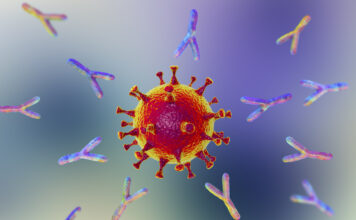 L’efficacité de la Phycocyanine contre le SARS-CoV-2 se confirme l-efficacite-de-la-phycocyanine-se-confirme-reponses-bio