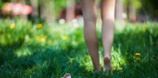 Se protéger des tiques et des moustiques, un geste de prévention essentiel Prévention anti-moustiques et tiques réponses bio